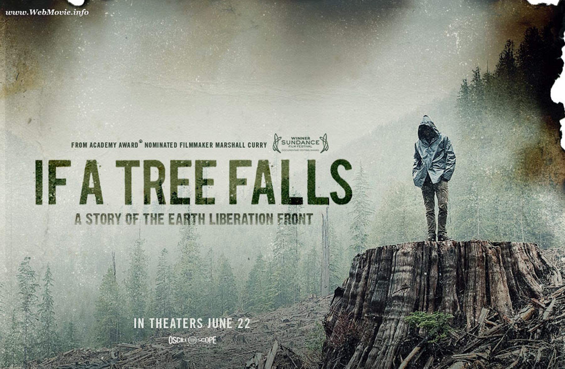 Downfall a story. Earth Liberation Front. The Fall Dragnet. If a Tree Falls. Fallen Tree.